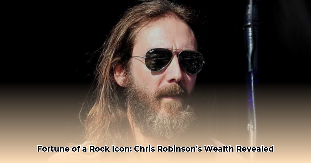 chris robinson net worth